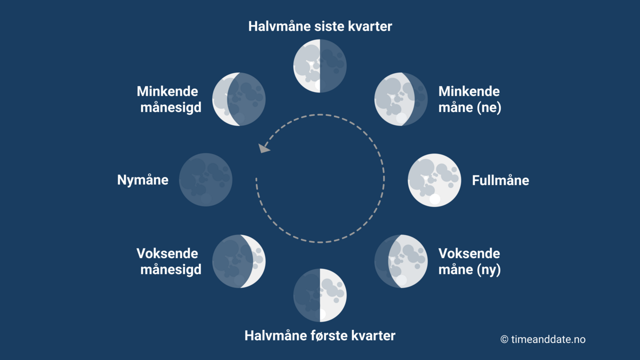 Illustrasjon av de fire hovedfasene og fire delfasene til månen.