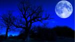 Illustrating a blue moon. Manipulated photo of silhouetted trees in front of a blue glowing full moon in a very blue sky.