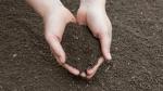 Soils are important for bio diversity and food security. 2015 was declared as the UN International Year of Soils.
