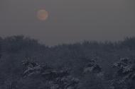 December's Full Moon is called the Cold Moon. Moon in a foggy sky with snowy trees.
