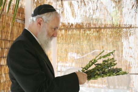 Rabbi inside a Sukkah (hut) checking myrtle branches for the holiday of Sukkot