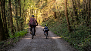 父亲和儿子在森林里骑山地自行车的后视图。