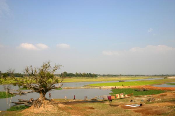 River and eroded tree, Bangladesh
