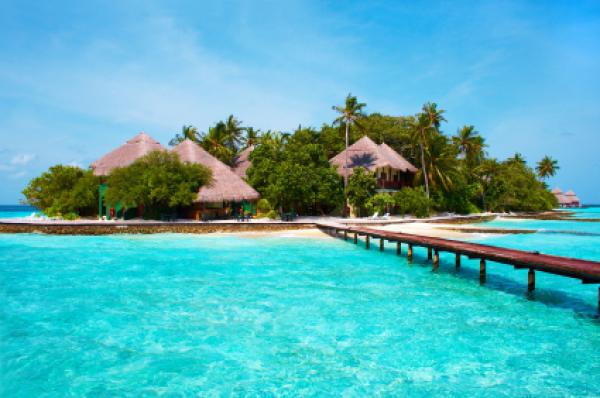 Island of Paradise. White sand beaches with coco-tree and crystal blue water. Maldives.