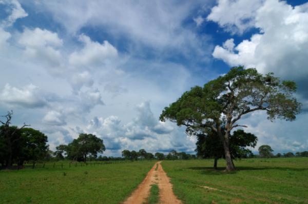Road in Mato Grosso, Brazil