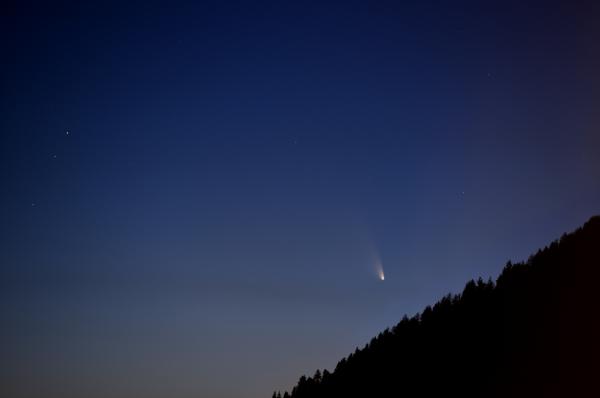 Comet C/2011 L4 PanSTARRS on clear sky with forest in the foreground.