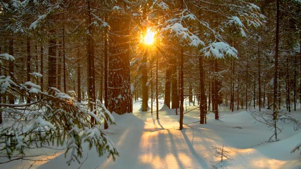 10 Things About the December Solstice