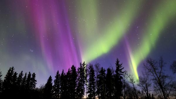 Colorful northern lights in Alberta, Canada.