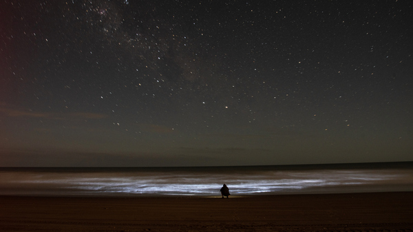 A view of the constellation of Orion in the night sky