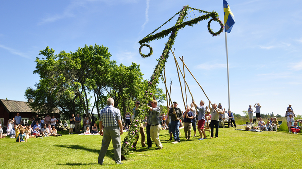 Eine Gruppe Männer stellen einen kreuzförmigen Maibaum auf, mit schwedischer Fahne und Zuschauern im Hintergrund