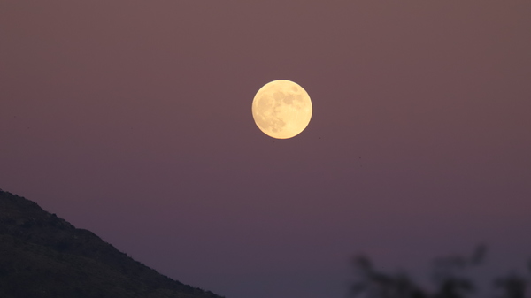 Close-up shot of the rising Full Moon