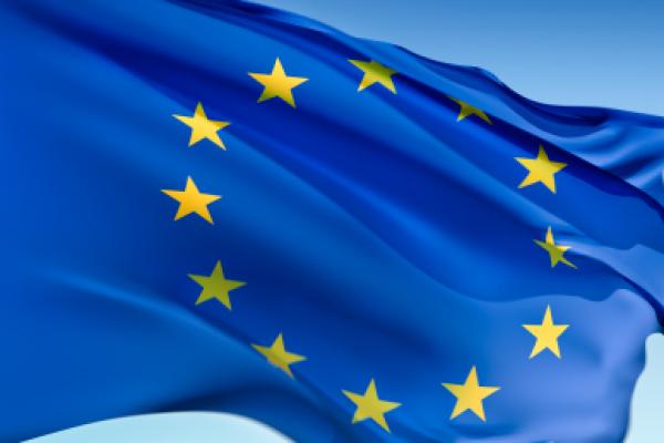 European Union Flag