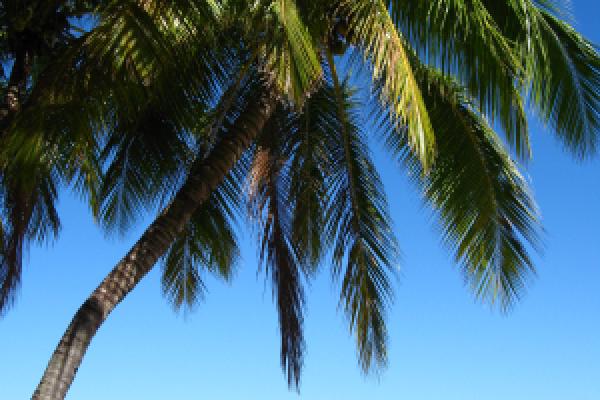 View of exotic lagoon in Fiji