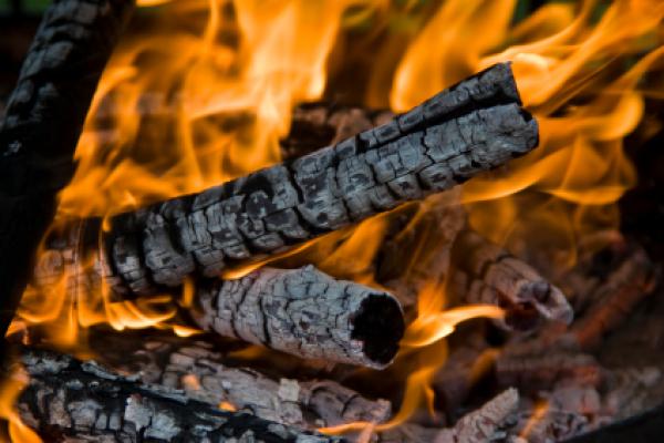 Burning Wood Burning Wood