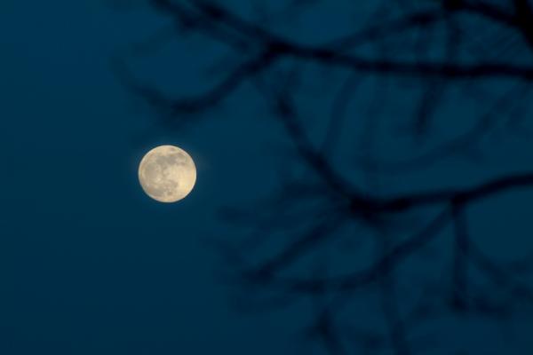 Risultati immagini per luna piena di luglio