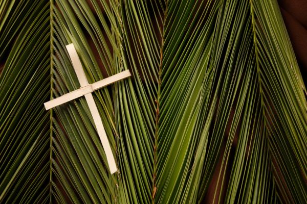 Palm Sunday