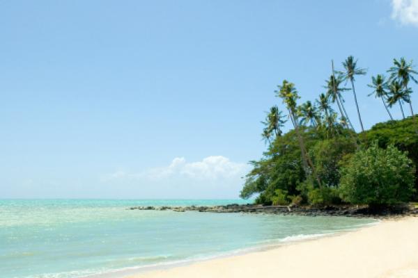 Sunny beach with palm trees in Samoa.