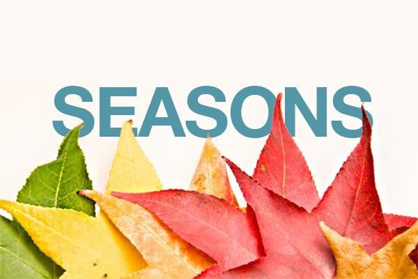 The seasons