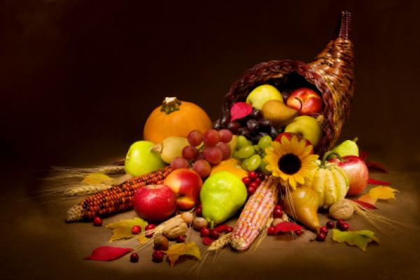 Thanksgiving Point | Events, Things To Do.