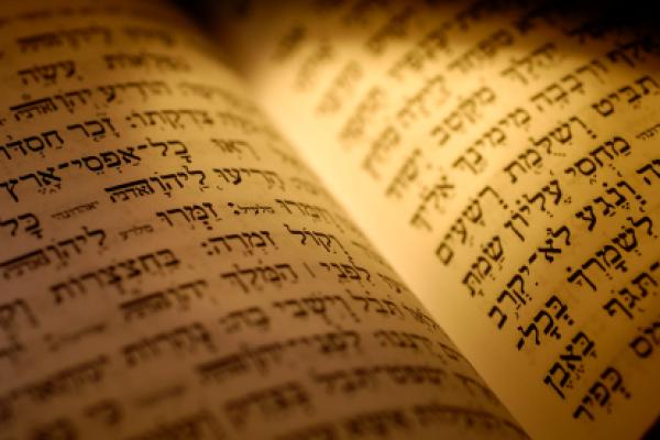 Torah Torah