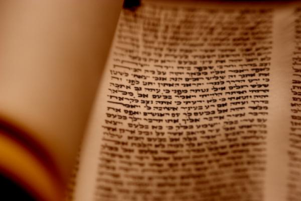 Torah Scroll Closeup