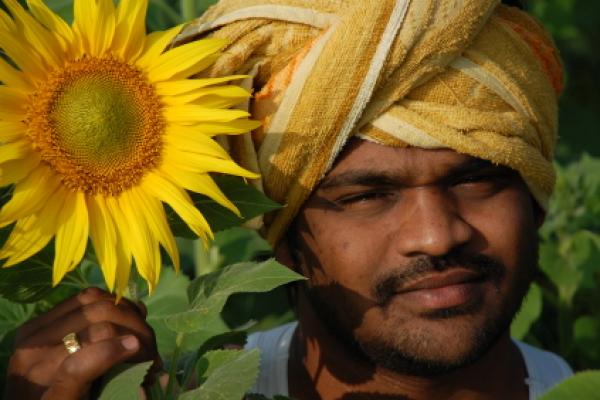 Indian Farmer with Sunflower