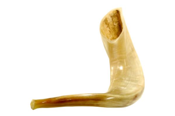 The shofar is an instrument that is blown on Jewish observances, such as Yom Kippur. The shofar is an instrument that is blown on Jewish observances, such as Yom Kippur.