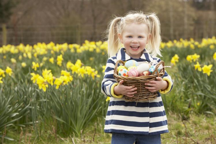 LIttle girl in a field of daffodils holding a basket of Easter eggs.