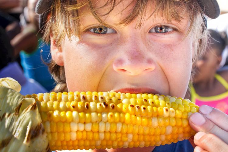 Young boy eating a corn on the cob. 