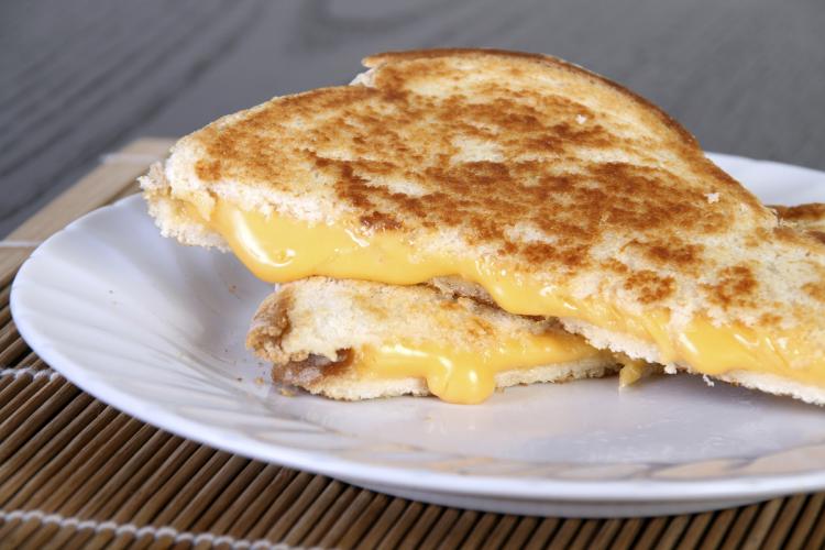 Grilled cheddar cheese sandwich.
