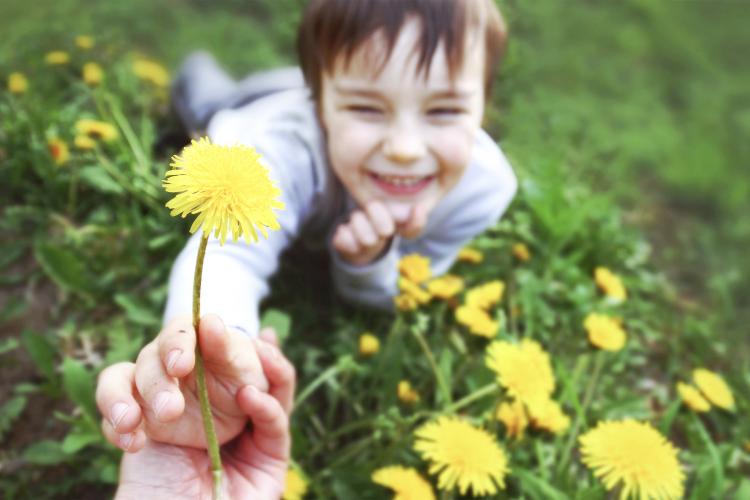 Boy giving a dandelion to his mother.