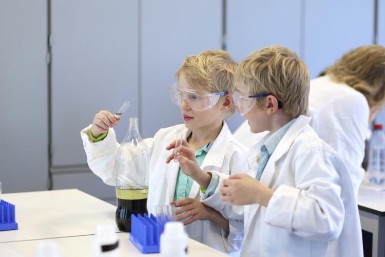 Two school boys collaborating during chemical lesson in lab.