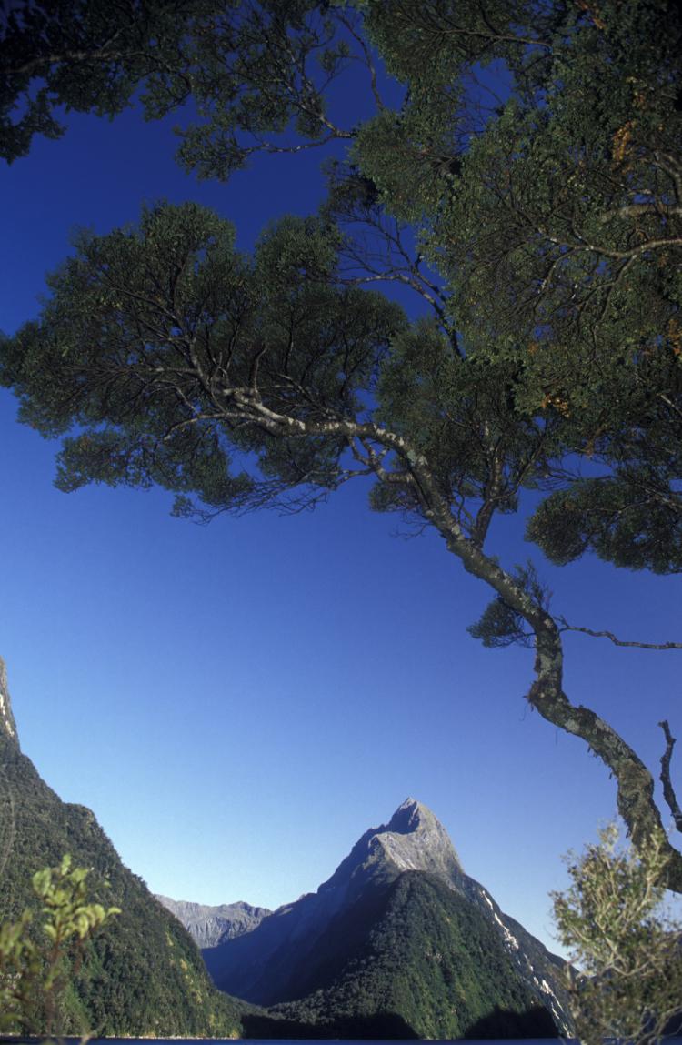 View of Mitre Peak, Milford Sound, Fiordland National Park, South Island, New Zealand.