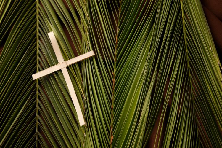 A small wooden cross on top of palm leaves.