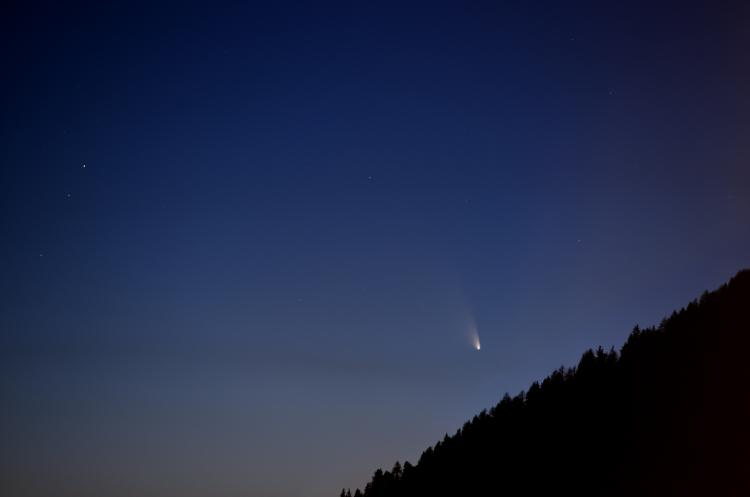 Comet C/2011 L4 PanSTARRS on clear sky with forest in the foreground.