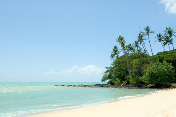 Sunny beach with palm trees in Samoa.