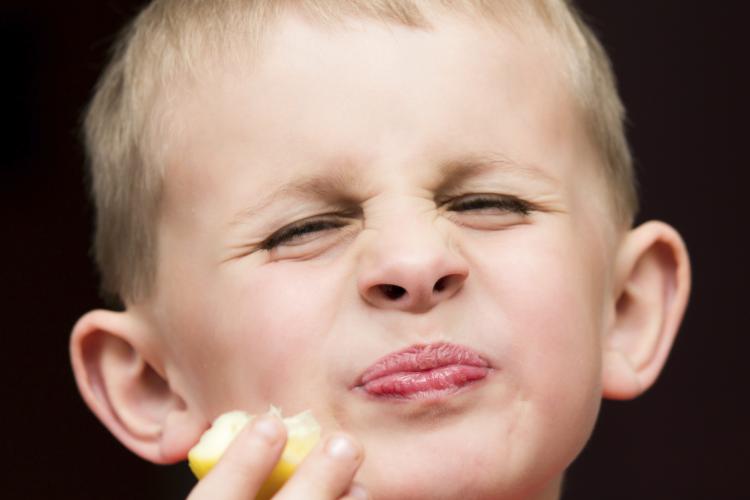 Young boy eating a lemon. Young boy eating a lemon.