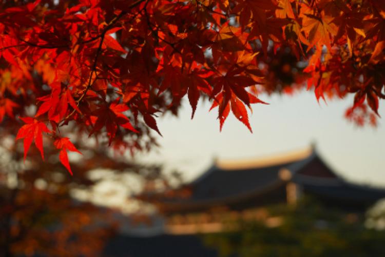 Kyeongbok Palace,Seoul,Korea