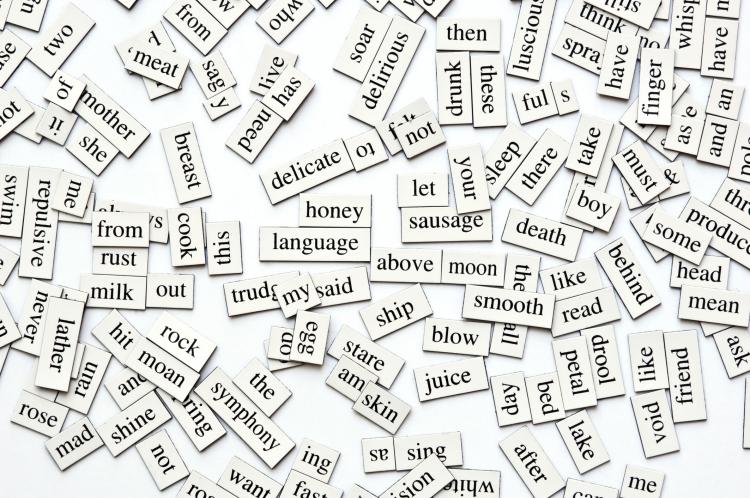A collection of magnetic words.