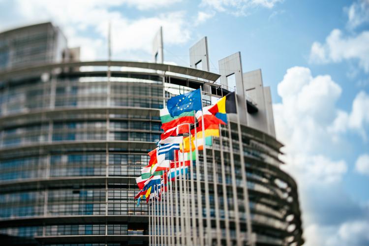 Flags in front of the European Parliament in Strasbourg, France.
