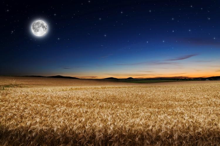 Harvest Moon is the Northern Hemisphere's first fall (autumn) full Moon.