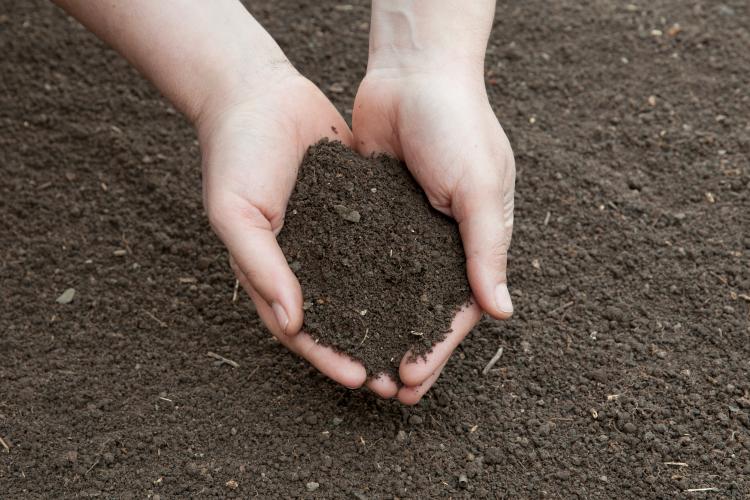 2015 was declared as the UN International Year of Soils.