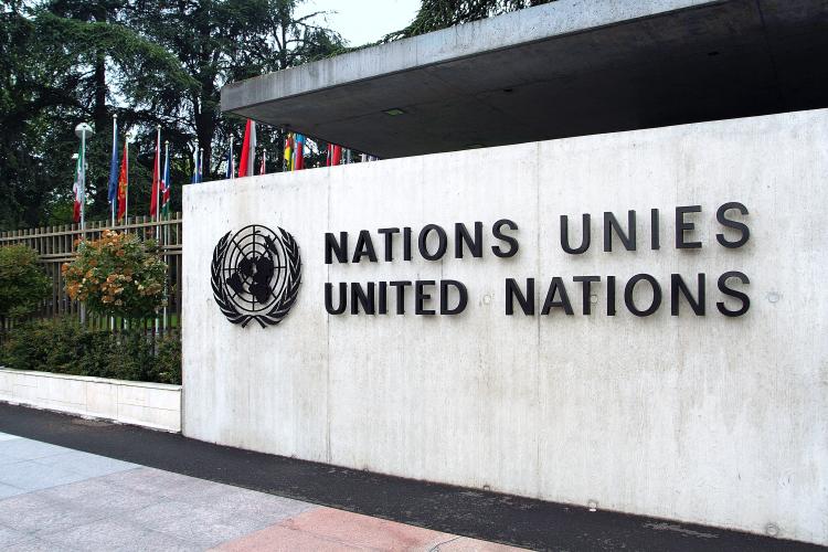 The UN focuses on a specific issue every year through its International Year.