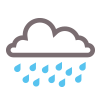 Heavy rain. Overcast.