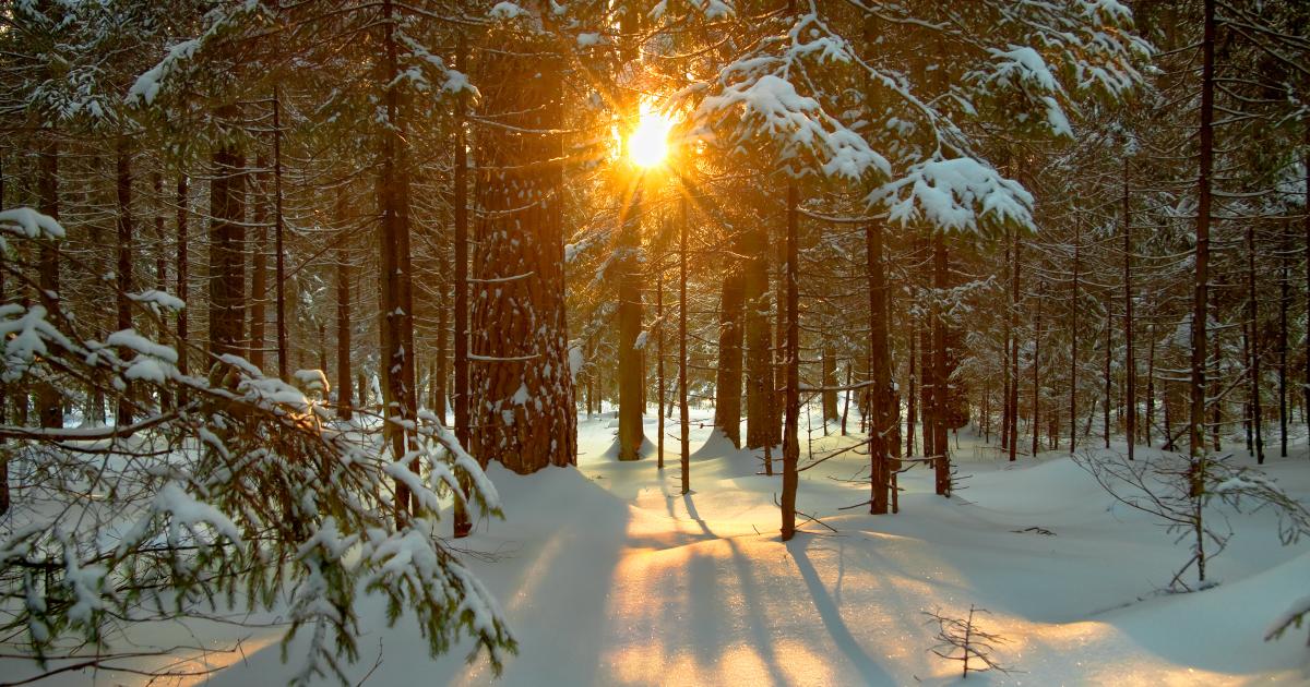 Download Winter Solstice Magic Wallpaper  Wallpaperscom