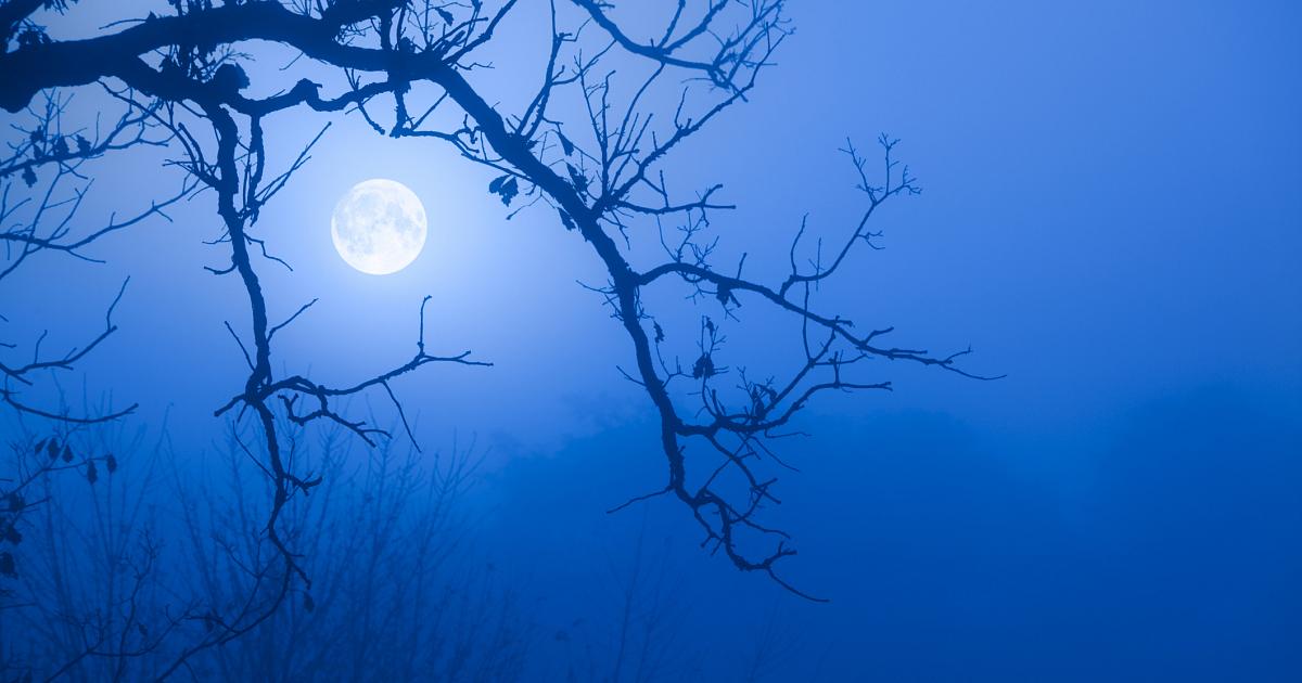 https://c.tadst.com/gfx/1200x630/full-moon-peeking-tree-branches-fog.jpg?1