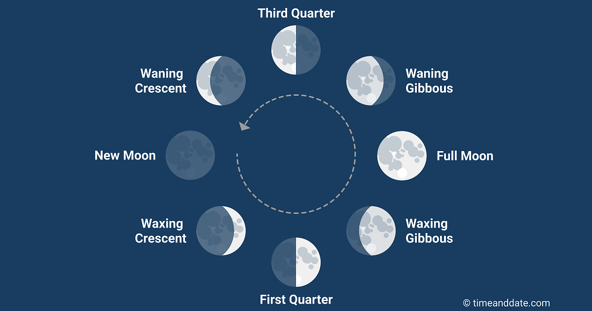 Illustrazione delle otto fasi della Luna con una freccia che mostra l'ordine in cui appaiono, viste dalla Terra.