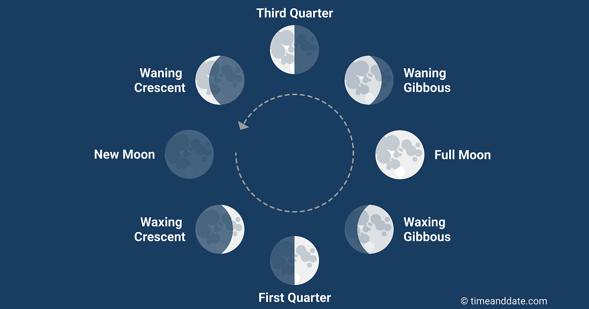 Phases of the Moon