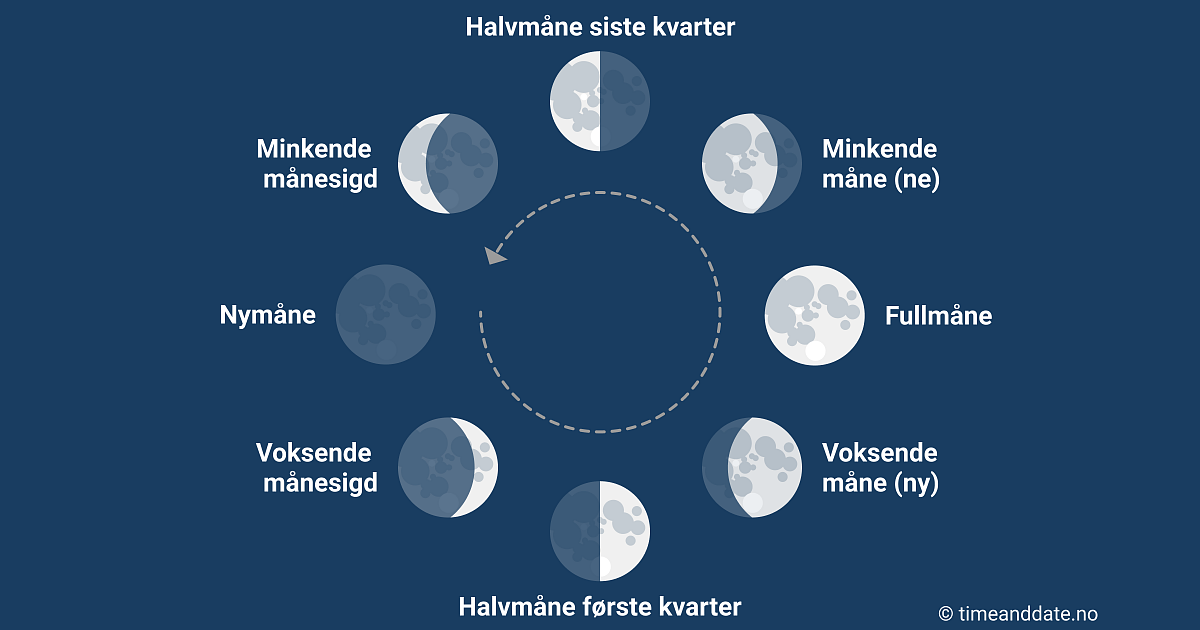 Illustrasjon av de fire hovedfasene og fire delfasene til månen.