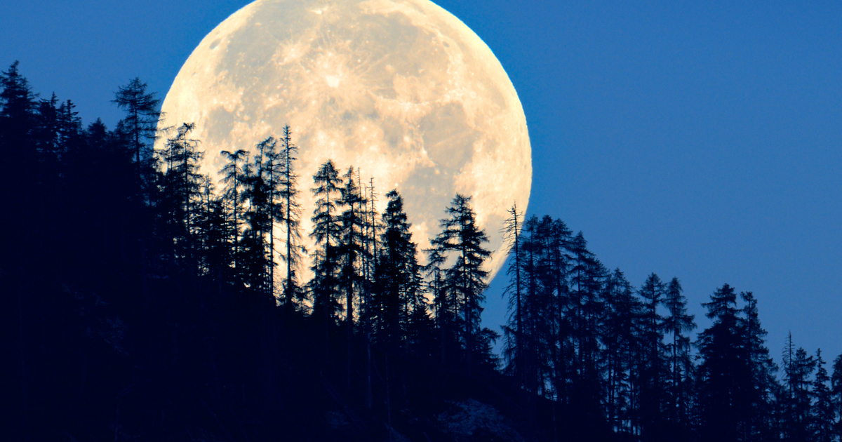 Full Pink Super Moon: How to see HUGE phenomenon when it appears